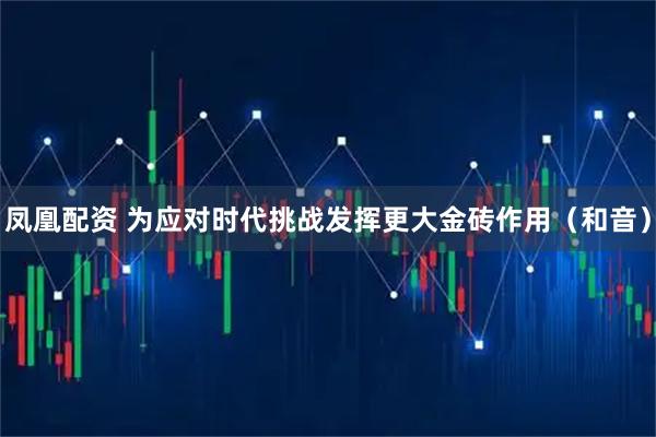 凤凰配资 为应对时代挑战发挥更大金砖作用（和音）