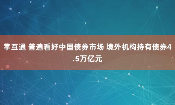 掌互通 普遍看好中国债券市场 境外机构持有债券4.5万亿元