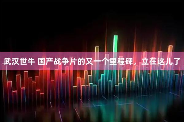 武汉世牛 国产战争片的又一个里程碑，立在这儿了