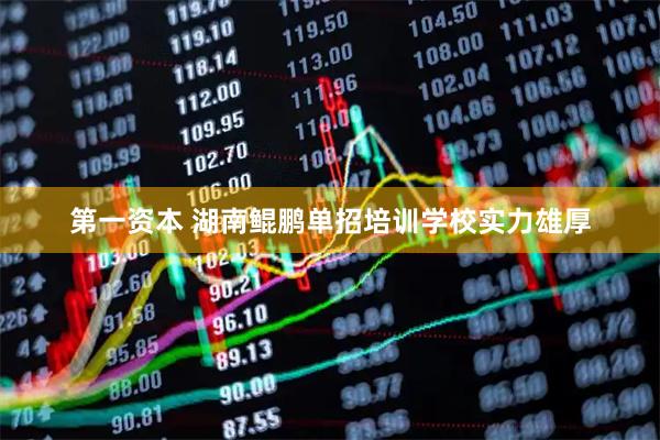 第一资本 湖南鲲鹏单招培训学校实力雄厚