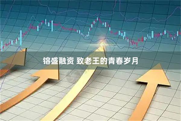 镕盛融资 致老王的青春岁月