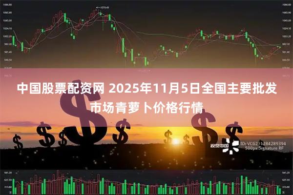 中国股票配资网 2025年11月5日全国主要批发市场青萝卜价格行情