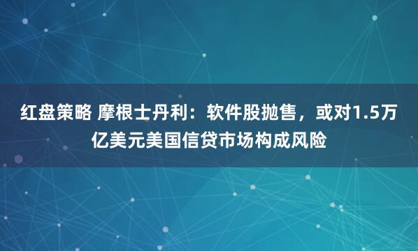 红盘策略 摩根士丹利：软件股抛售，或对1.5万亿美元美国信贷市场构成风险
