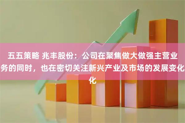 五五策略 兆丰股份：公司在聚焦做大做强主营业务的同时，也在密切关注新兴产业及市场的发展变化