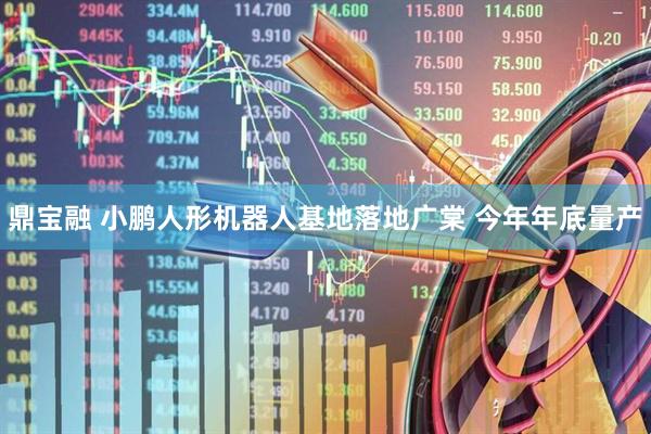 鼎宝融 小鹏人形机器人基地落地广棠 今年年底量产